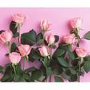 Днес българските студенти празнуват 